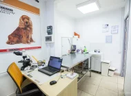 Ветеринарный центр Медвет на Ленинском проспекте Фото 5 на сайте Teplystan.su