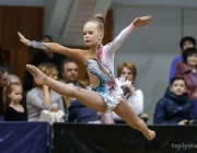Всероссийская детская спортивная школа по художественной гимнастике и спортивной акробатике Fd на Профсоюзной улице Фото 2 на сайте Teplystan.su