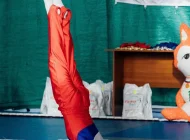 Всероссийская детская спортивная школа по художественной гимнастике и спортивной акробатике Fd на Профсоюзной улице Фото 5 на сайте Teplystan.su