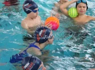 Школа плавания SwimRocket на улице Академика Виноградова Фото 3 на сайте Teplystan.su