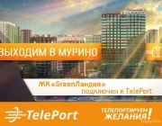 Автоматизированный пункт выдачи TelePort Фото 2 на сайте Teplystan.su